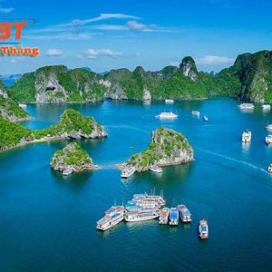 Thiết Kế Website Tại Quảng Ninh