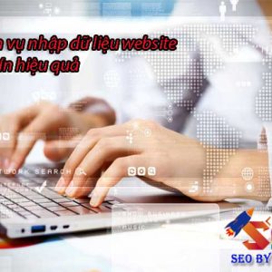 Dịch Vụ Nhập Liệu Website