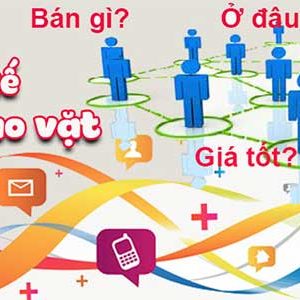 Thiết Kế Website Rao Vặt