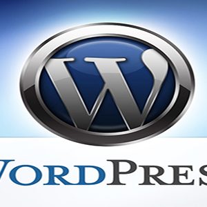 Mã Nguồn Giao Diện Wordpress Là Gì