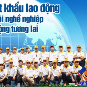 Mẫu Website Xuất Khẩu Lao động