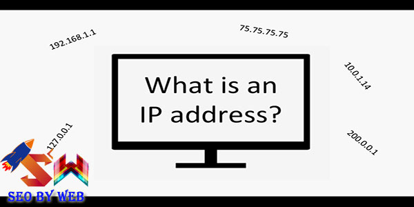 Cấu trúc của một địa chỉ IP là gì?